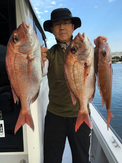 ミタチ丸 釣果