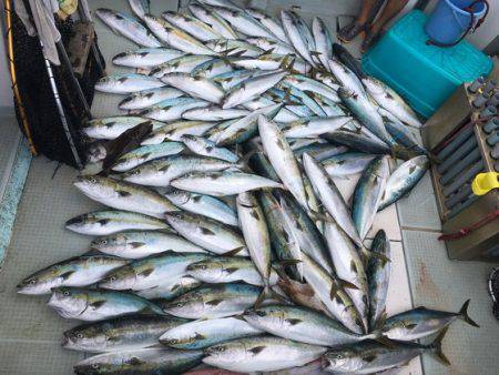 ふじしめ丸 釣果