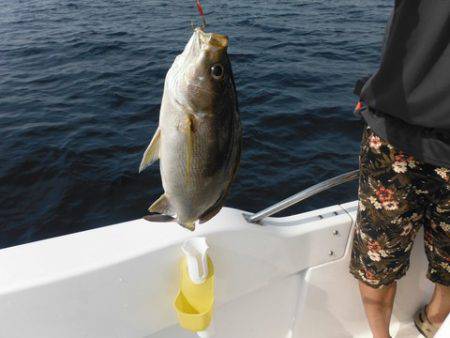 開進丸 釣果