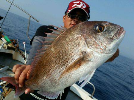 つれ鷹丸 釣果