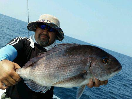 つれ鷹丸 釣果