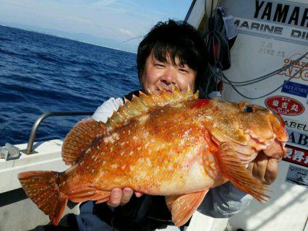 つれ鷹丸 釣果