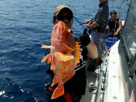 つれ鷹丸 釣果