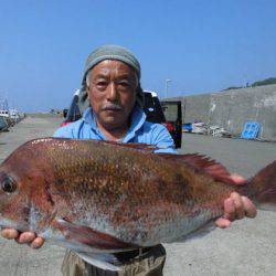 大進丸（新潟） 釣果