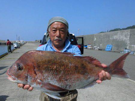 大進丸（新潟） 釣果