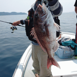 遊漁船ブルーウッズ 釣果