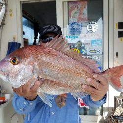 遊漁船　ニライカナイ 釣果