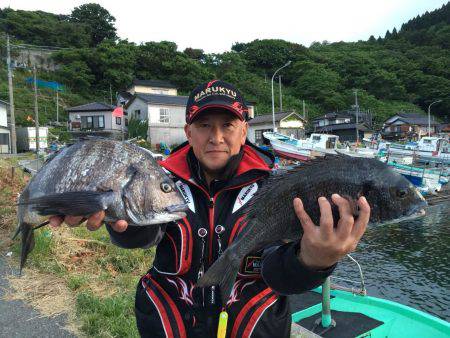 由良渡船 釣果