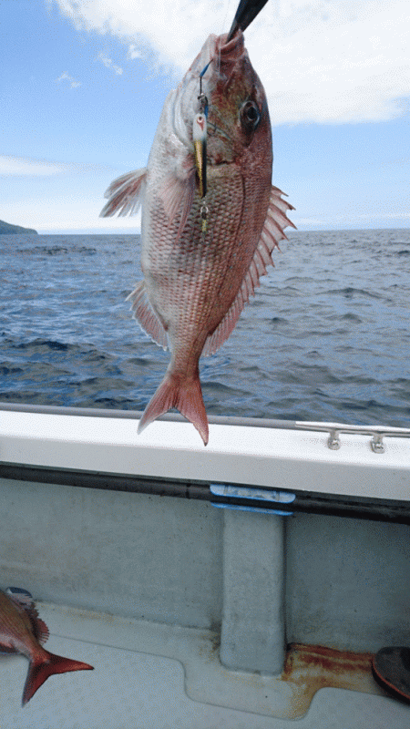 遊漁船ブルーウッズ 釣果