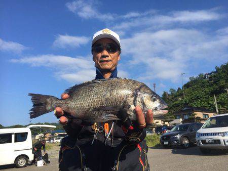 由良渡船 釣果