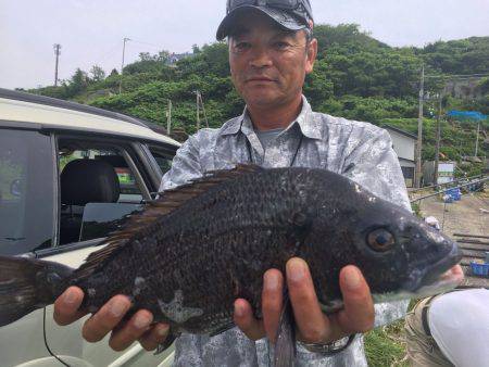 由良渡船 釣果