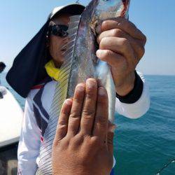 遊漁船　ニライカナイ 釣果