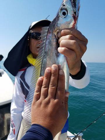 遊漁船　ニライカナイ 釣果