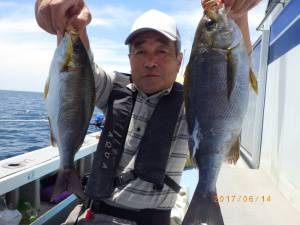 石川丸 釣果