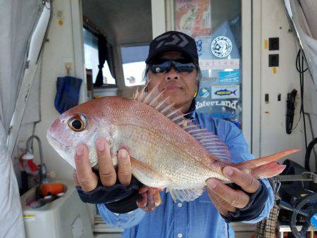 遊漁船　ニライカナイ 釣果