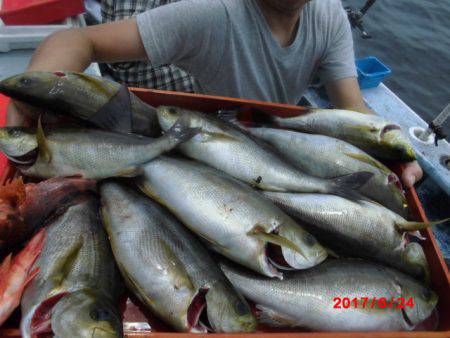 まとばや 釣果