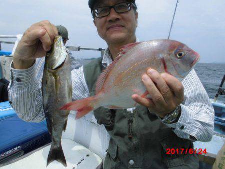 まとばや 釣果