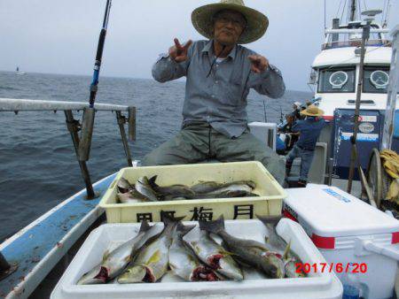 まとばや 釣果