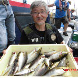 まとばや 釣果