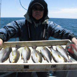 大進丸（愛知） 釣果