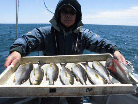 大進丸（愛知） 釣果