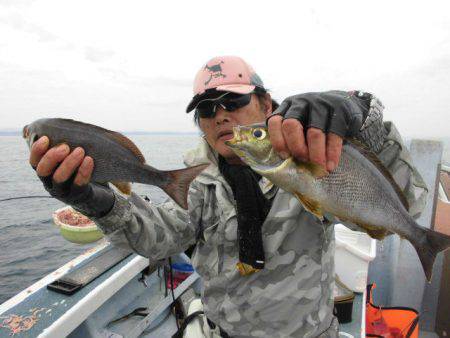 大進丸（愛知） 釣果