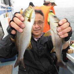 大進丸（愛知） 釣果