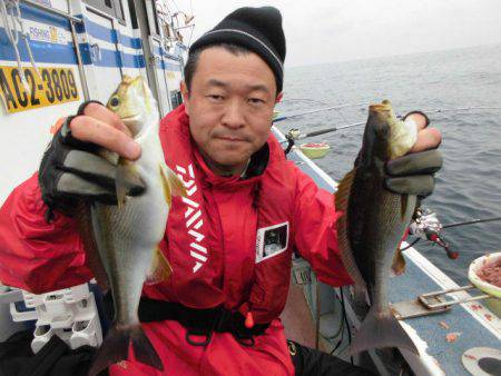 大進丸（愛知） 釣果