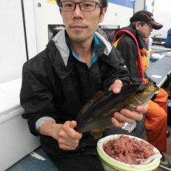 大進丸（愛知） 釣果