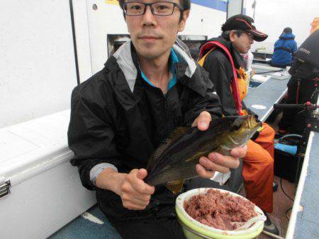 大進丸（愛知） 釣果