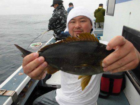 大進丸（愛知） 釣果