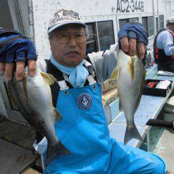 大進丸（愛知） 釣果