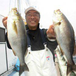 大進丸（愛知） 釣果