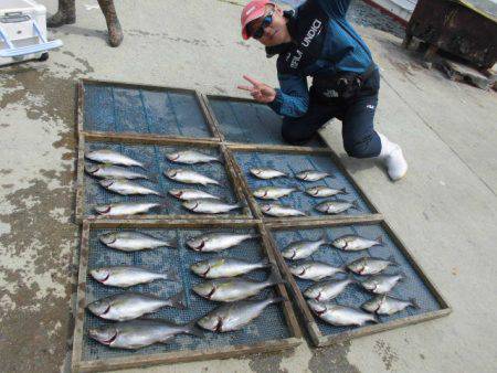 大進丸（愛知） 釣果