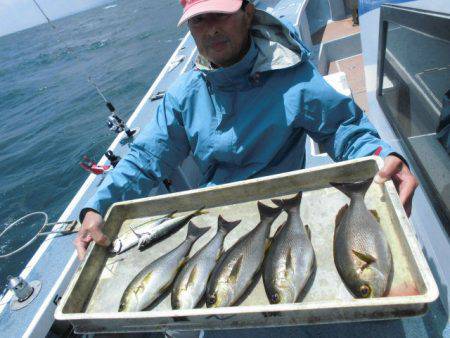 大進丸（愛知） 釣果