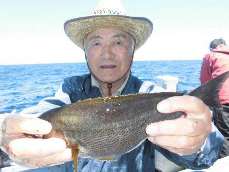 大進丸（愛知） 釣果