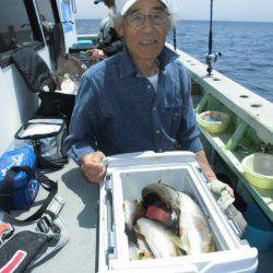 大進丸（愛知） 釣果