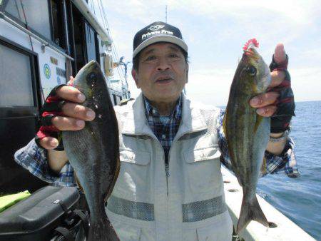 大進丸（愛知） 釣果