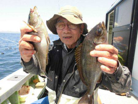 大進丸（愛知） 釣果