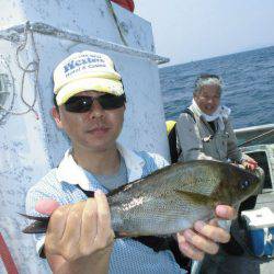 大進丸（愛知） 釣果