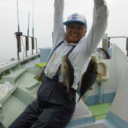 大進丸（愛知） 釣果