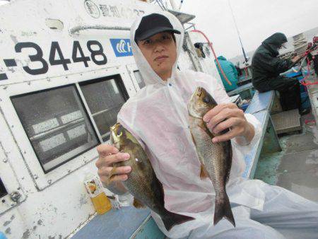 大進丸（愛知） 釣果