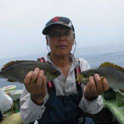 大進丸（愛知） 釣果