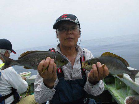 大進丸（愛知） 釣果