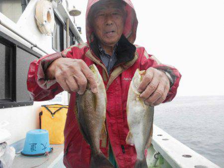 大進丸（愛知） 釣果