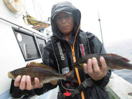 大進丸（愛知） 釣果