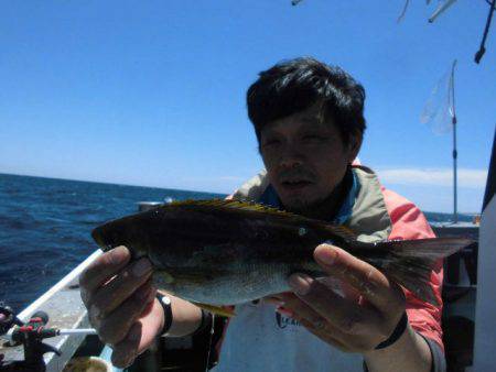 大進丸（愛知） 釣果