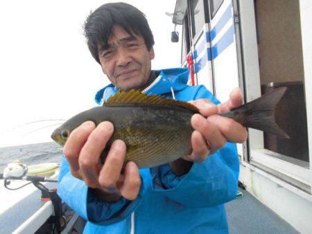 大進丸（愛知） 釣果