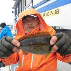 大進丸（愛知） 釣果