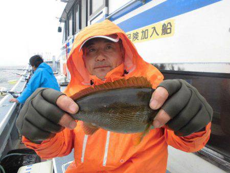 大進丸（愛知） 釣果